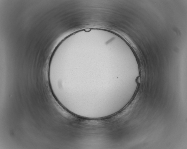 X0000111781246200908201103