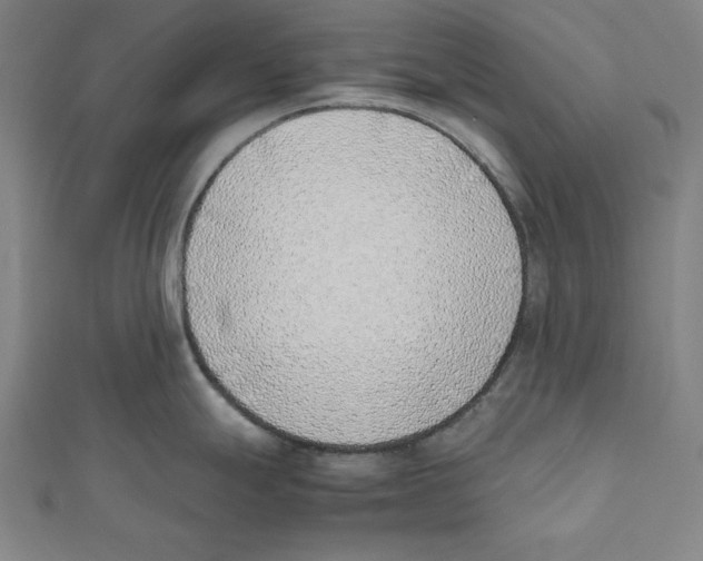 X0000111781247200908201103