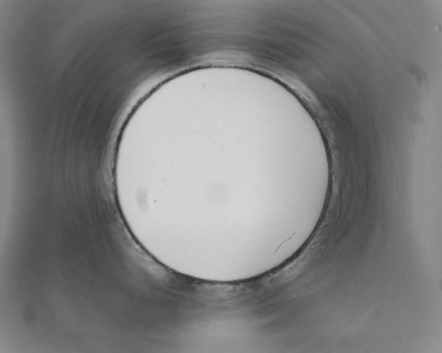 X0000111781248200908201103