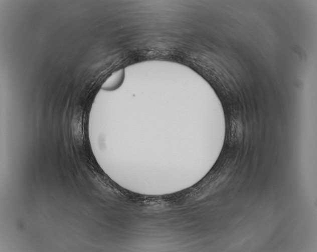 X0000111781250200908201102