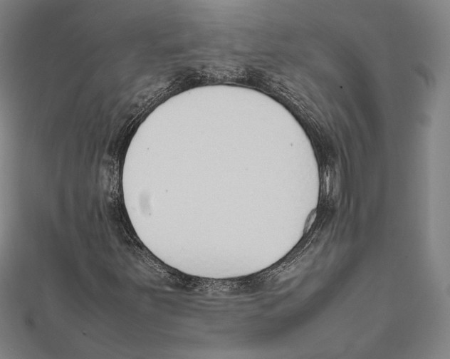 X0000111781251200908201102