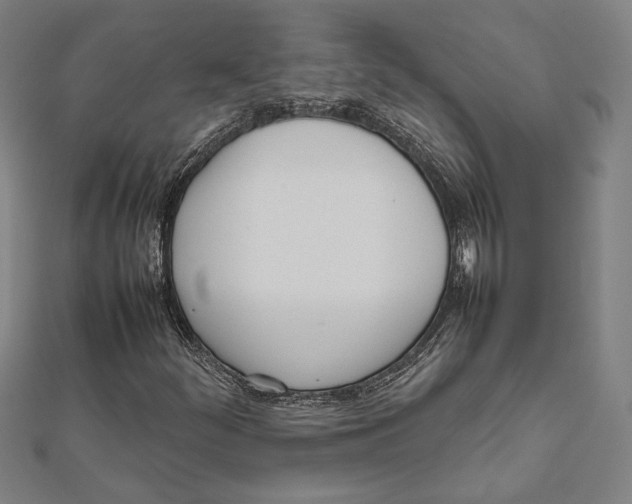 X0000111781252200908201102