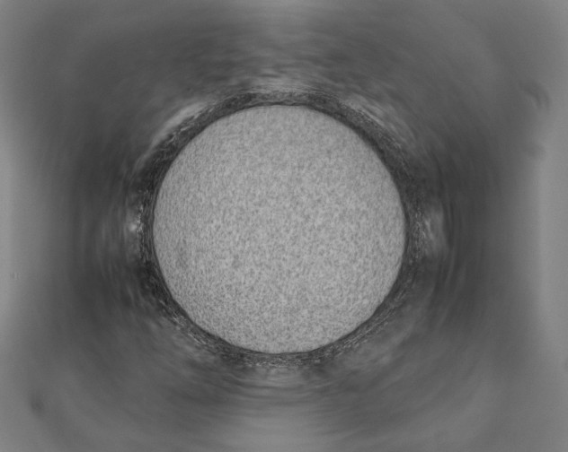 X0000111781254200908201102