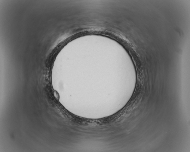 X0000111781255200908201102