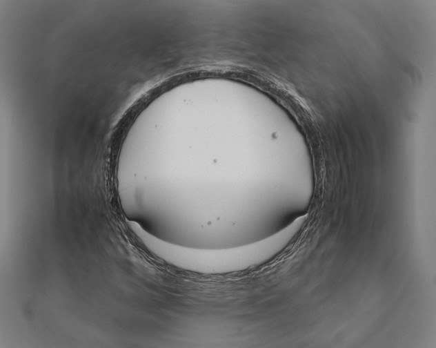 X0000111781256200908201102