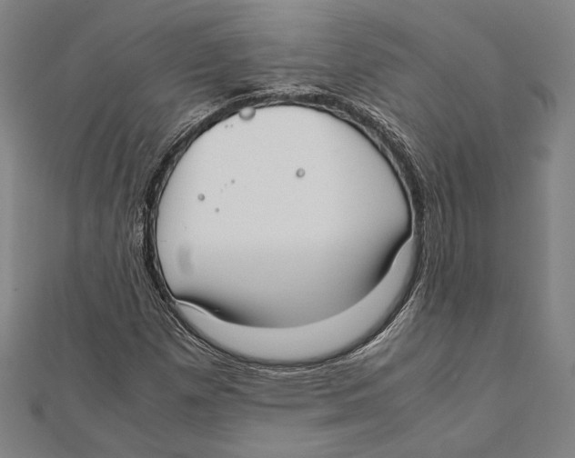 X0000111781257200908201102