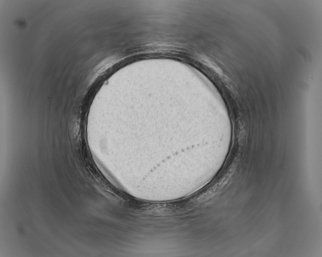 X0000111781259200908201102