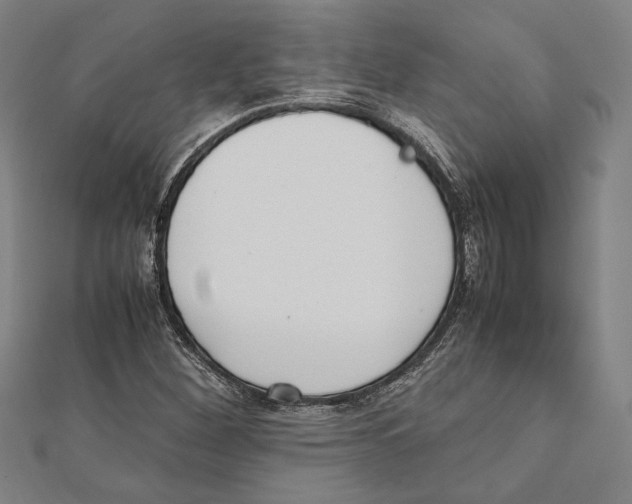 X0000111781260200908201102
