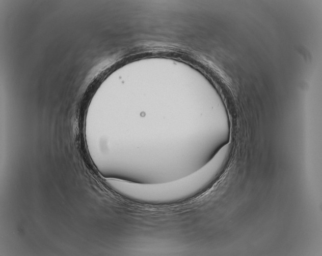 X0000111781261200908201102