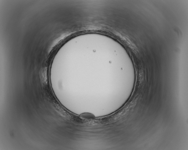 X0000111781262200908201102