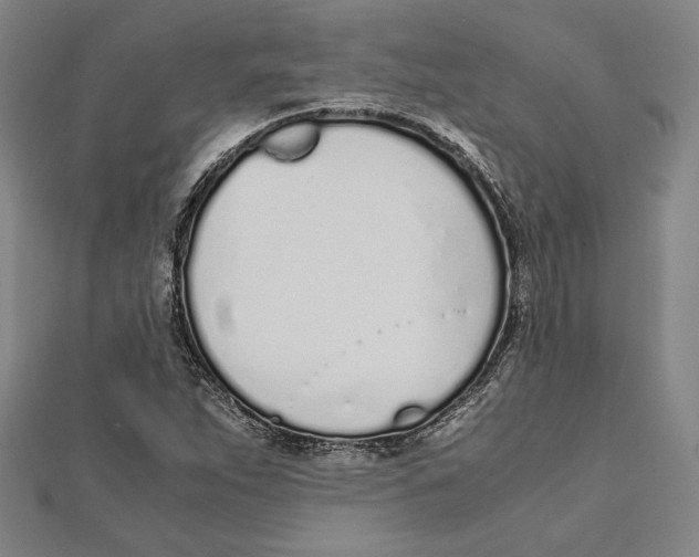 X0000111781263200908201102