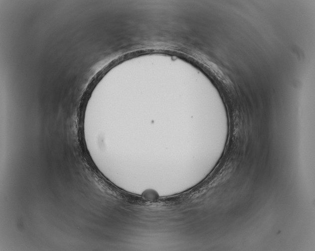 X0000111781264200908201102