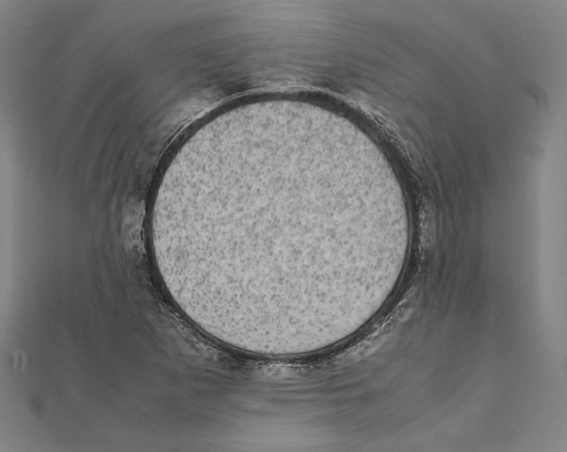 X0000111781265200908201102