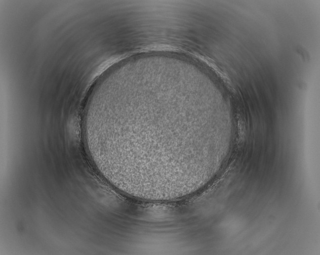 X0000111781266200908201102