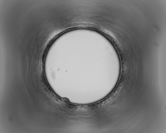 X0000111781267200908201102