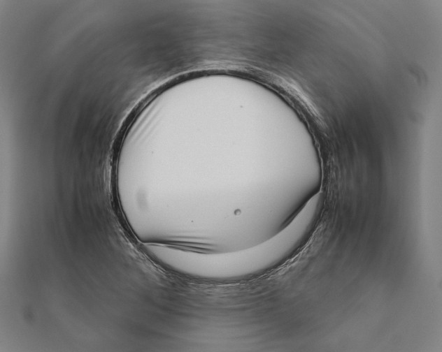 X0000111781268200908201102