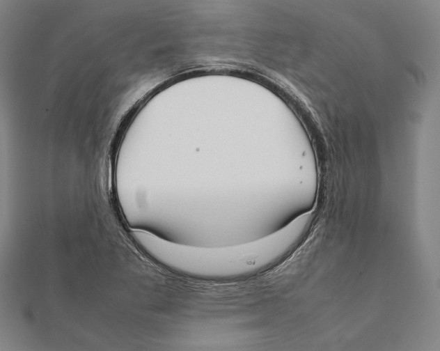 X0000111781269200908201102