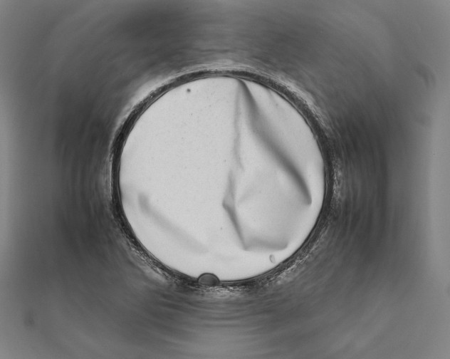 X0000111781270200908201102