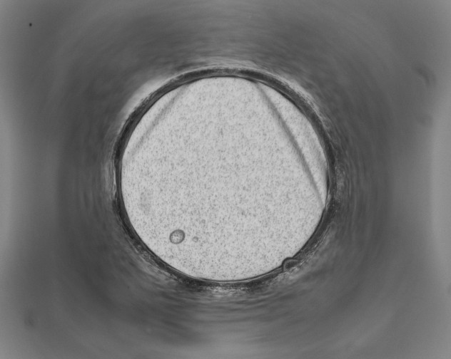 X0000111781271200908201102