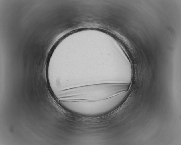 X0000111781272200908201102