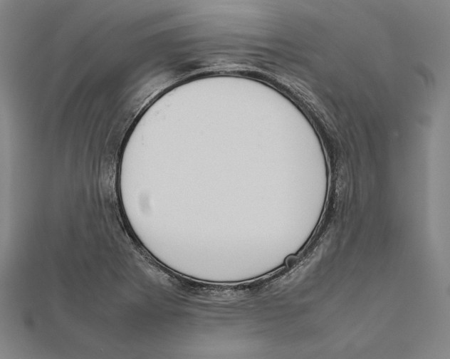 X0000111781273200908201102