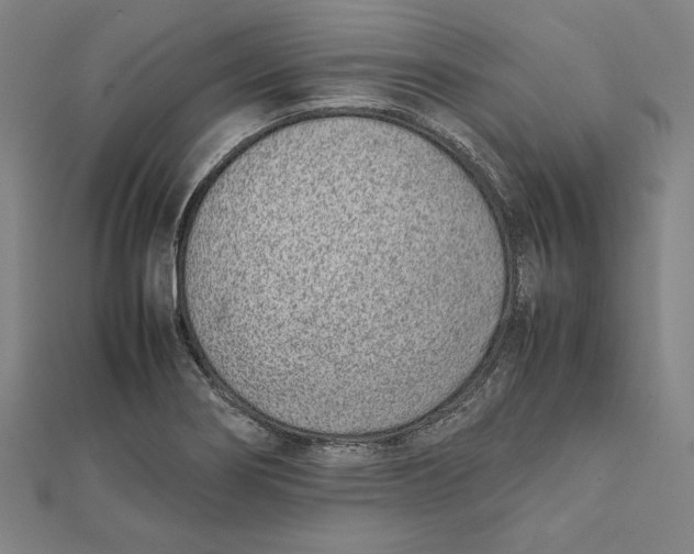 X0000111781274200908201102