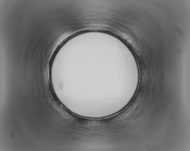 X0000111781275200908201102
