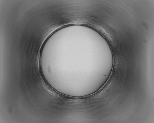X0000111781276200908201102