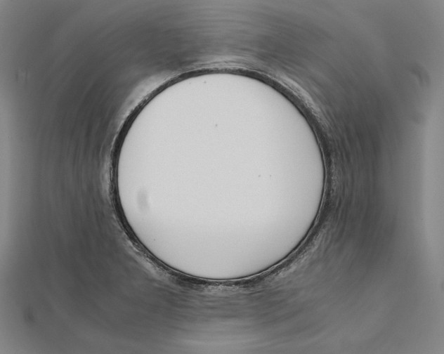 X0000111781277200908201102