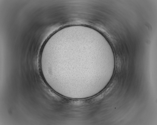 X0000111781278200908201102
