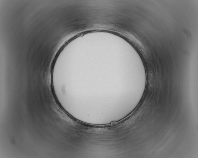 X0000111781280200908201102