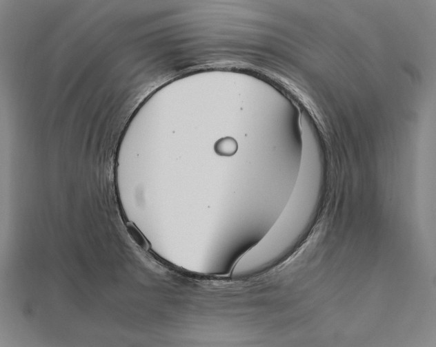 X0000111781281200908201102