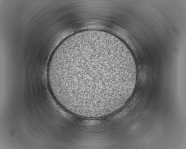 X0000111781282200908201102