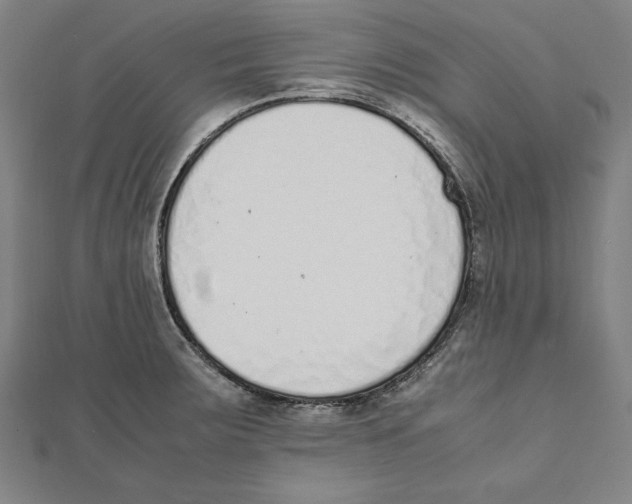 X0000111781283200908201102