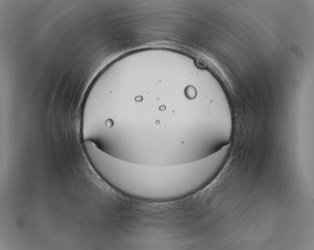 X0000111781284200908201102