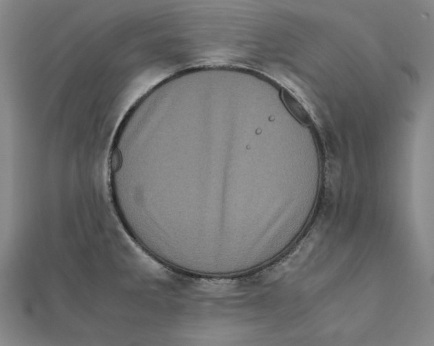 X0000111781285200908201102
