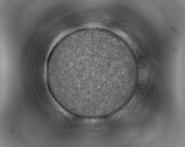 X0000111781286200908201102
