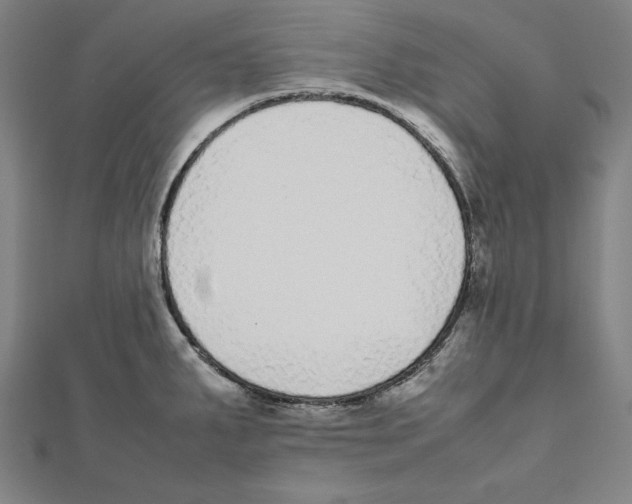 X0000111781287200908201102