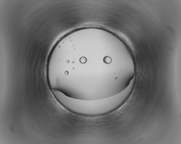 X0000111781288200908201102