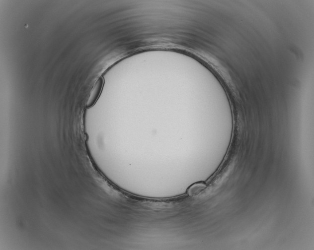 X0000111781289200908201102