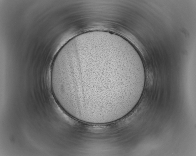 X0000111781290200908201102