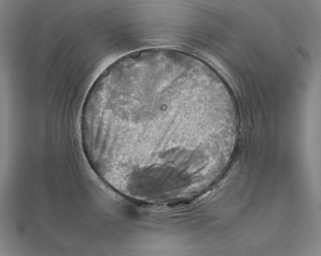 X0000111781291200908201102