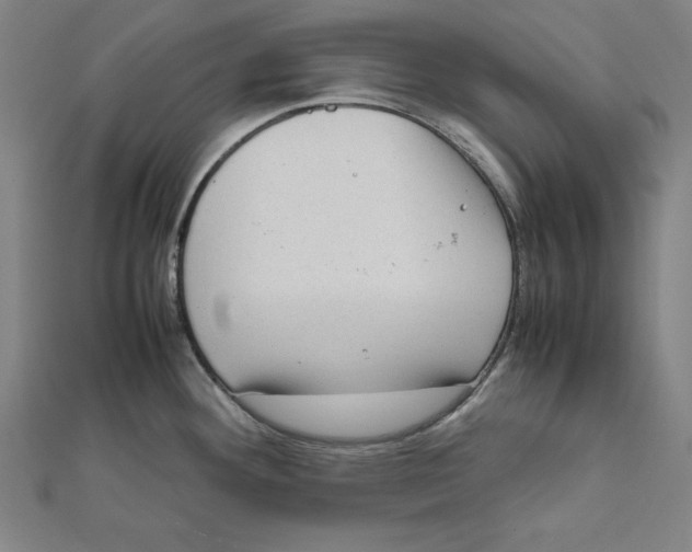 X0000111781292200908201102