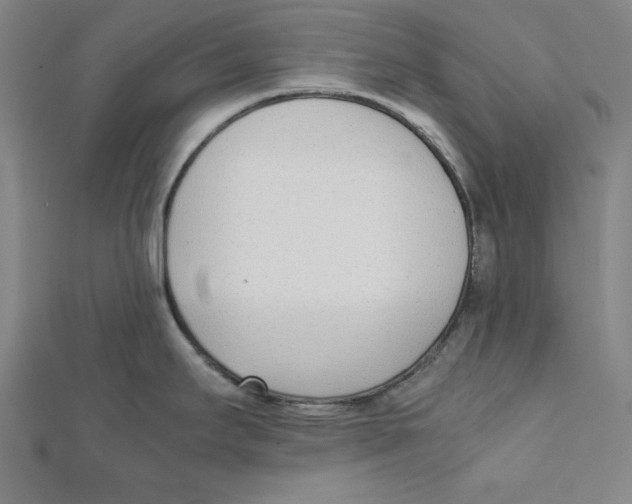 X0000111781295200908201102