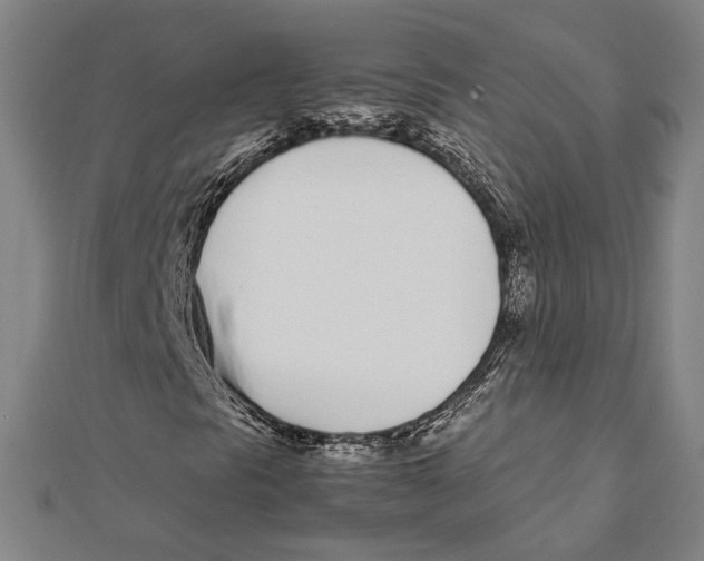 X0000111781297200908201101