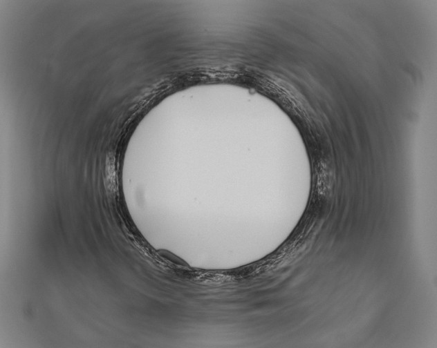 X0000111781298200908201101