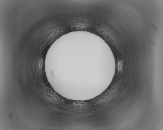 X0000111781299200908201101