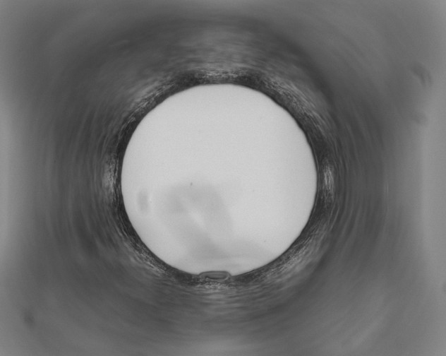 X0000111781300200908201101