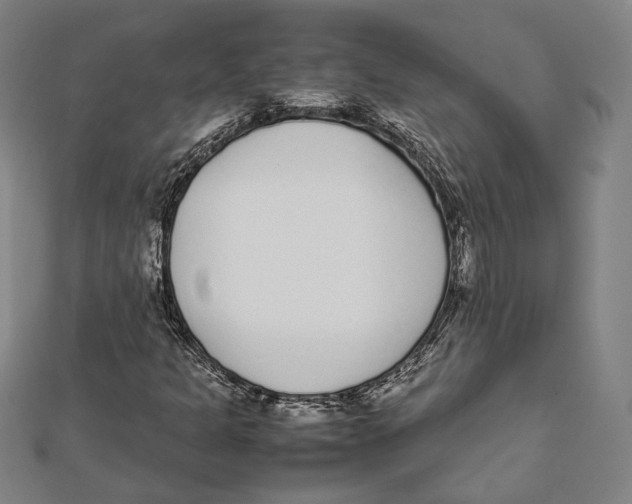 X0000111781301200908201101