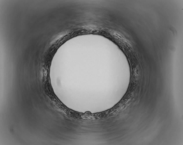 X0000111781302200908201101